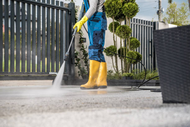 Best Building Exterior Washing  in Mount Sterling, IL